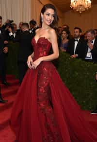 woman in  gala dress at Met Gala